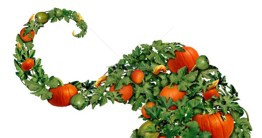 南瓜和万圣节的树叶作为秋天假期设计装饰元素图片