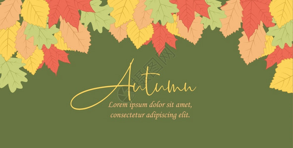 秋季叶颜色的矢量说明自然叶背景班纳模板秋季叶颜色图片