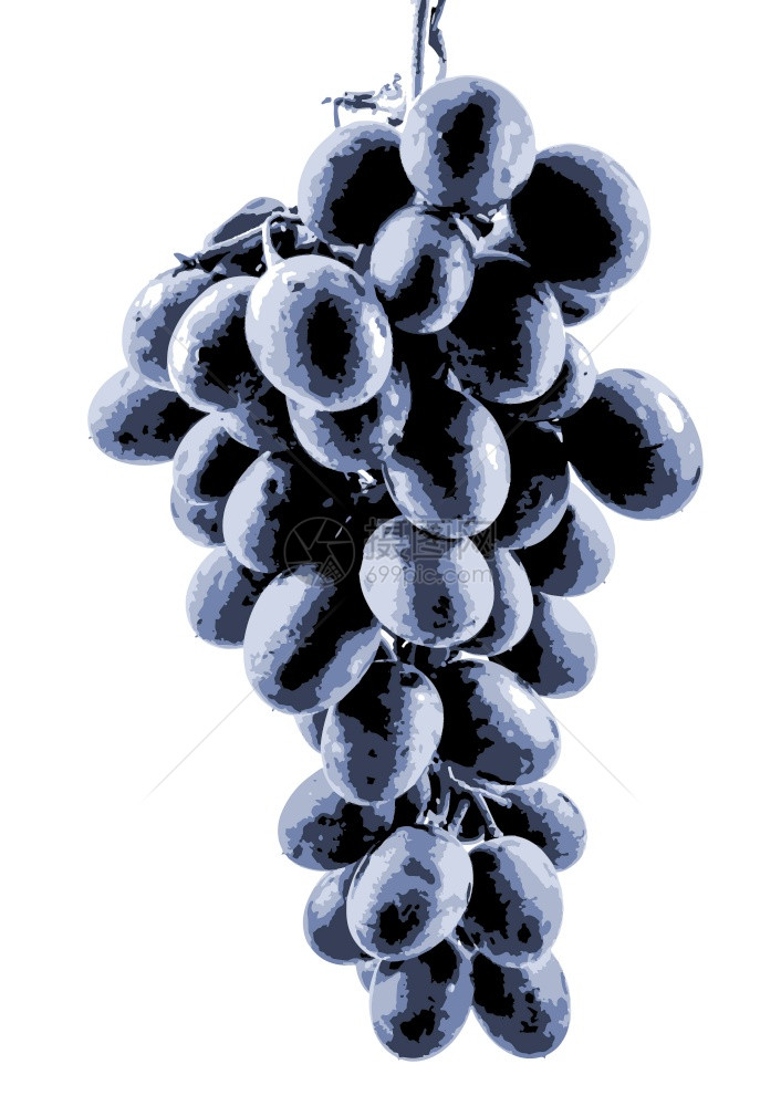葡萄是一种果实植物上的是植物松果开花植物五果树的枯木葡萄图片