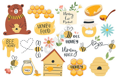 熊吃蜂蜜可爱蜂蜜插画