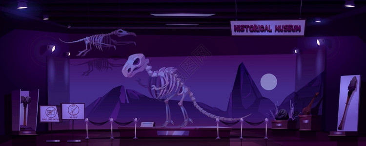 恐龙骨架历史博物馆图片