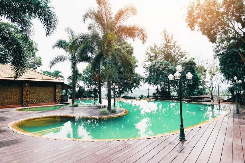 夏日度假游泳池有绿色和蓝水美丽的花园公后院游泳池有棕榈树现代豪华别墅图片