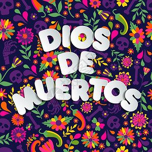 迪亚斯CincodeMayo5类型标语矢量DiaslosMuertos类型标语矢量英节墨西哥设计喜庆贺卡或政党邀请海报鲜花传统墨西哥面插画