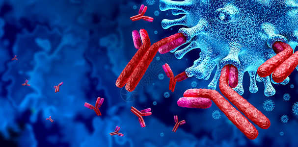 抗体免疫系统和Immunoglobulin概念是3D说明抗体攻击传染细胞和原体背景图片