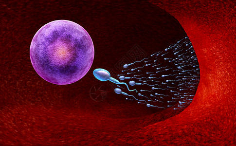 性取向生殖和育概念是一种微小精子或细胞游向卵作为3D的妇科象征施肥和制造怀孕背景