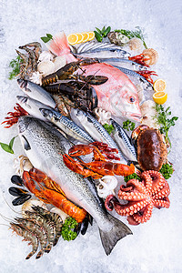 各种新鲜奢侈海龙虾鲑鱼竹章鲸红斑马扇贝和石蟹以海鲜市场的冰本位背景图片