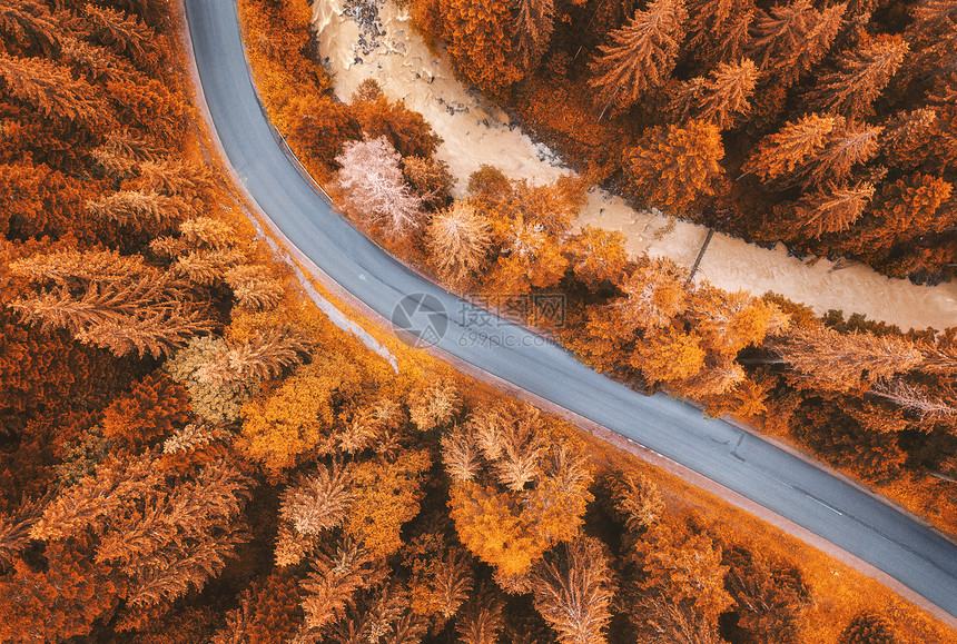 无人机在上空拍摄的森林道路景象图片