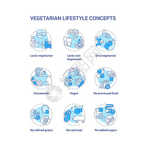 蔬菜生活方式概念图标图片