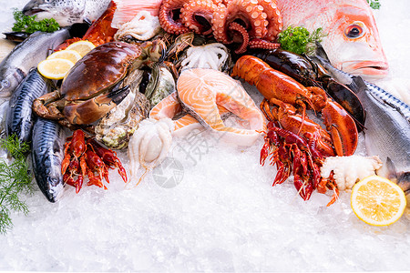 各种新鲜奢侈海的前视线龙虾鲑鱼石螃蟹鳄虾章和扇贝其冰背景与海鲜市场中的冰烟背景图片