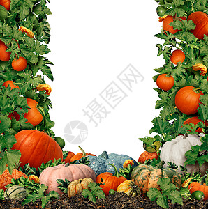 十月一边框秋天收成空白框作为南瓜农场边界设计壁球作为户外农民市场收获秋天有新鲜水果作为季节展示和感恩象征背景