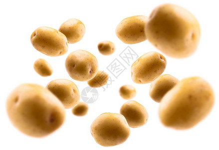 金马铃薯在白色背景上飘黄马铃薯在白色背景上飘图片