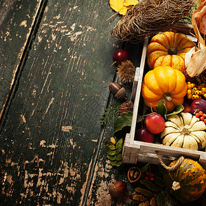 季节水果蔬菜和叶的秋季背景复制空间图片