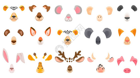 鼻子设计素材动物的面孔插画