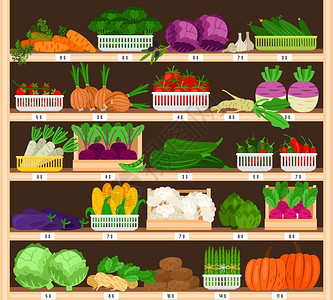 果汁新品上市蔬菜在货架上销售蔬菜在价格上市场生态超成熟健康有机杂货销售番茄和南瓜大蒜玉米病媒说明蔬菜在价格上市场大蒜和玉米插画