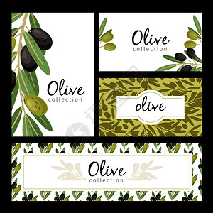 橄榄果油橄榄叶和橄榄果矢量背景插画