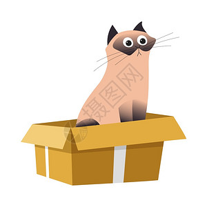 装在盒子里的小猫卡通矢量插画图片