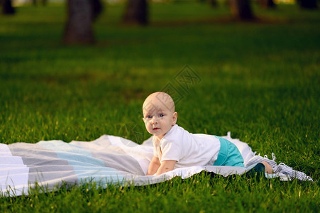 男孩在草坪上野餐森林阳光童年快乐图片
