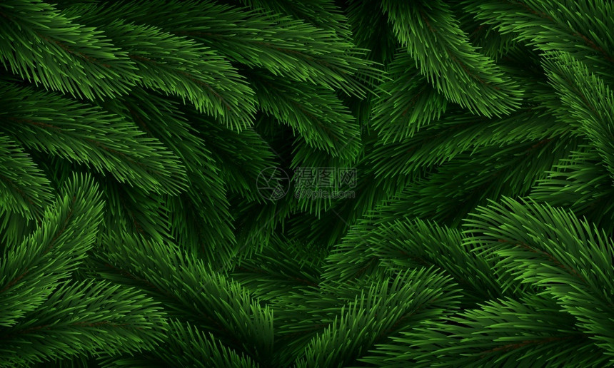 圣诞节冬季森林背景图片