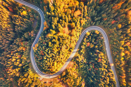 秋天森林和弯曲的道路的空中美景图片