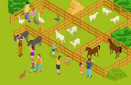驴和马农场动物园插画