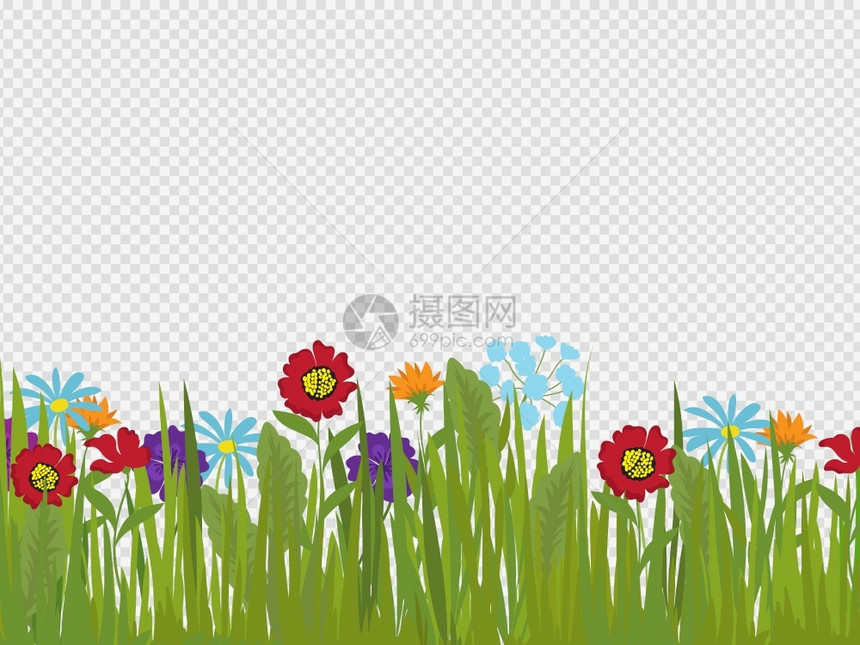 以透明背景隔离的春花和草地边界以透明背景隔离的鲜花和草地边界图片