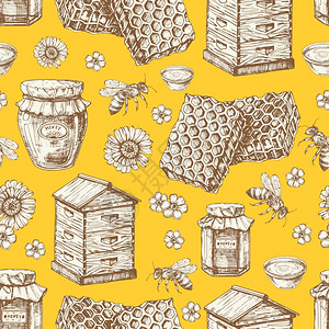 手绘精美蜂箱蜂蜜和花朵图片