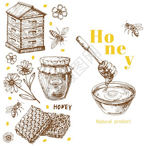 生态蜂蜜含有手工抽取元素的回转矢量蜂蜜背景模板蜂年种健康天然甜食等说明带手工抽取元素的回转矢量蜂蜜背景模板插画