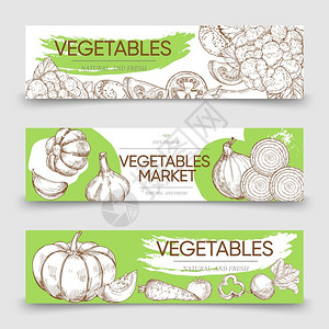 蔬菜市场洋葱和卷心插图蔬图片