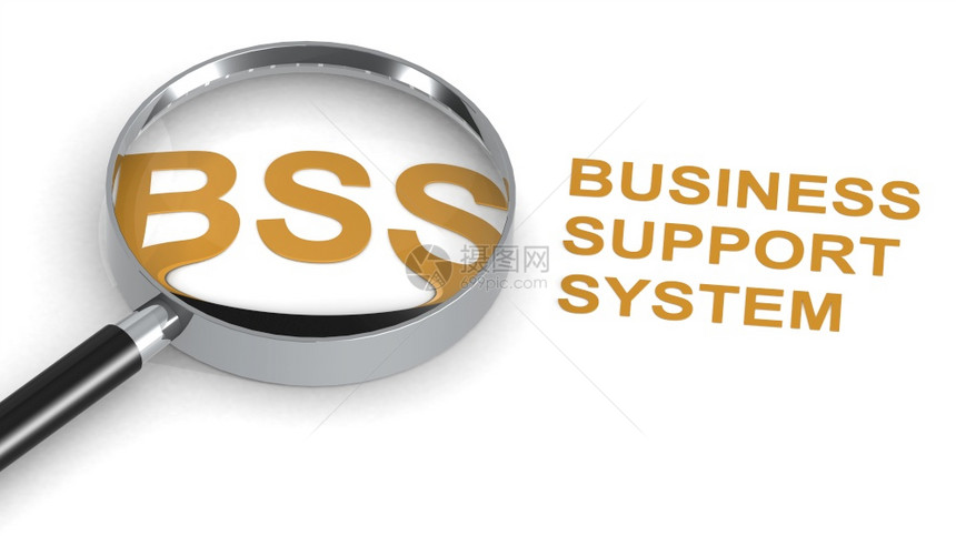 BSS商业支持系统放大镜下的单词3D图片