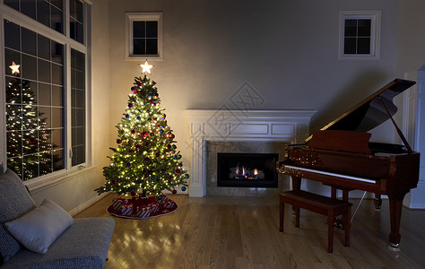 在家庭起居室内放明圣诞树和夜间发光的壁炉图片