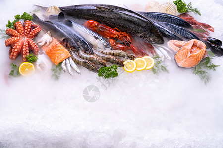 各种新鲜奢侈海的顶端景象Lobster鲑鱼竹鳄龙虾章贝类和扇在冰背景上海鲜市场有冰烟复制空间背景图片