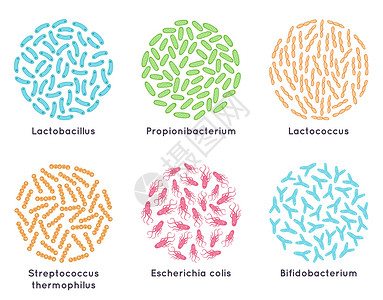 双孢菌照顾生物化学高清图片