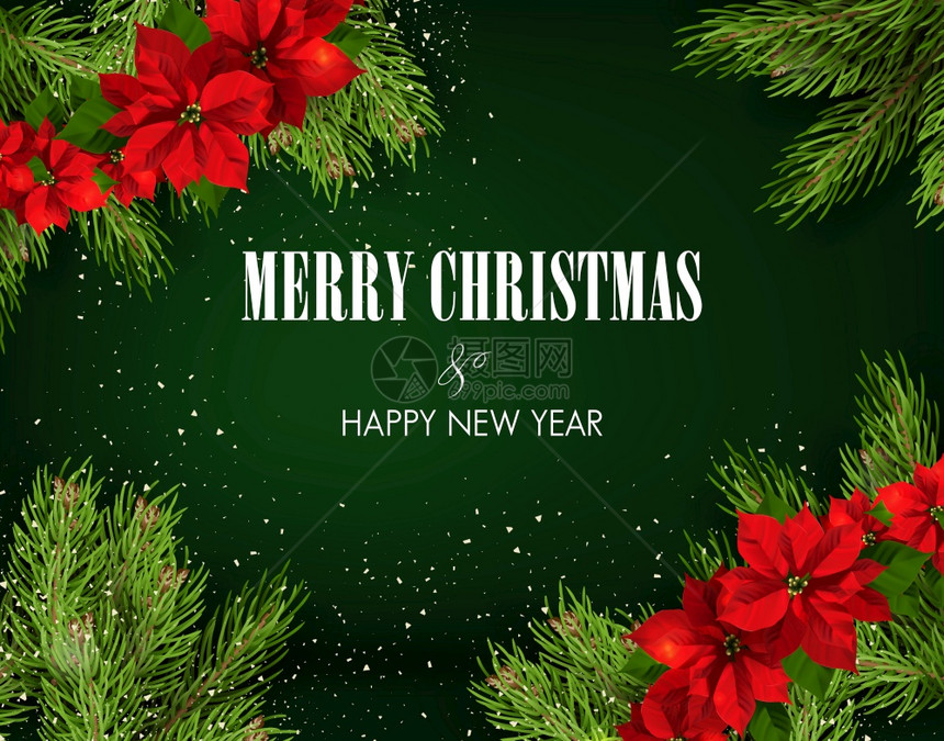 圣诞节和新年的催眠袋模板配有Fir树上圣诞花的锥元素绿色背景的设计模板圣诞节和新年的催眠袋图片