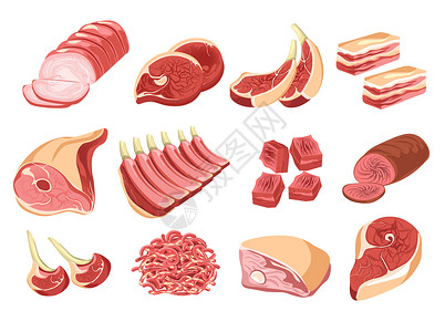 腊肠素材牛肉和猪火腿香肠牛肉培根和羊牛排猪市场和烹饪原料肉制品店或市场孤立食品插画