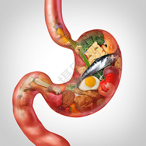 3d人体素材食物消化和营养作为胃部成形的分代表胃肠健康或消化问题含有3D插图元素背景
