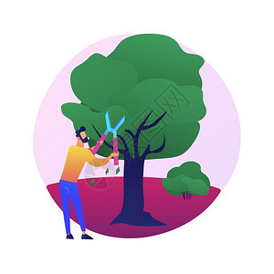 修剪树砍伐树木和灌的抽象概念矢量说明园艺服务景观维护修剪除去有病断裂的树枝塑造木抽象隐喻砍树和灌木的抽象概念矢量说明插画