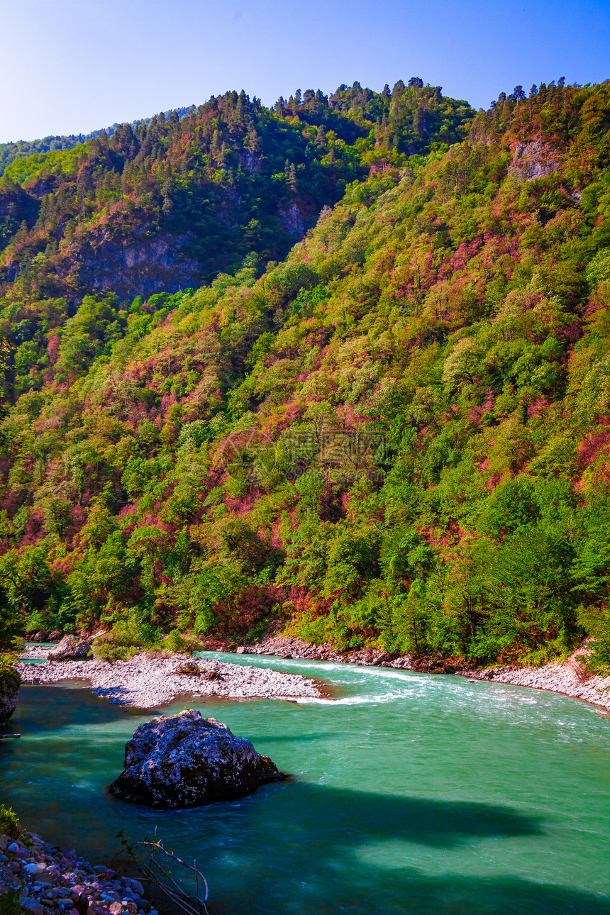 美丽的风景自然森林山和蓝河美丽自然的景色背图片