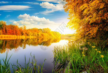 森林中河流的橙色秋天图片