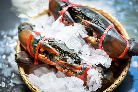 冰上的海食蟹新鲜生螃海洋美食图片