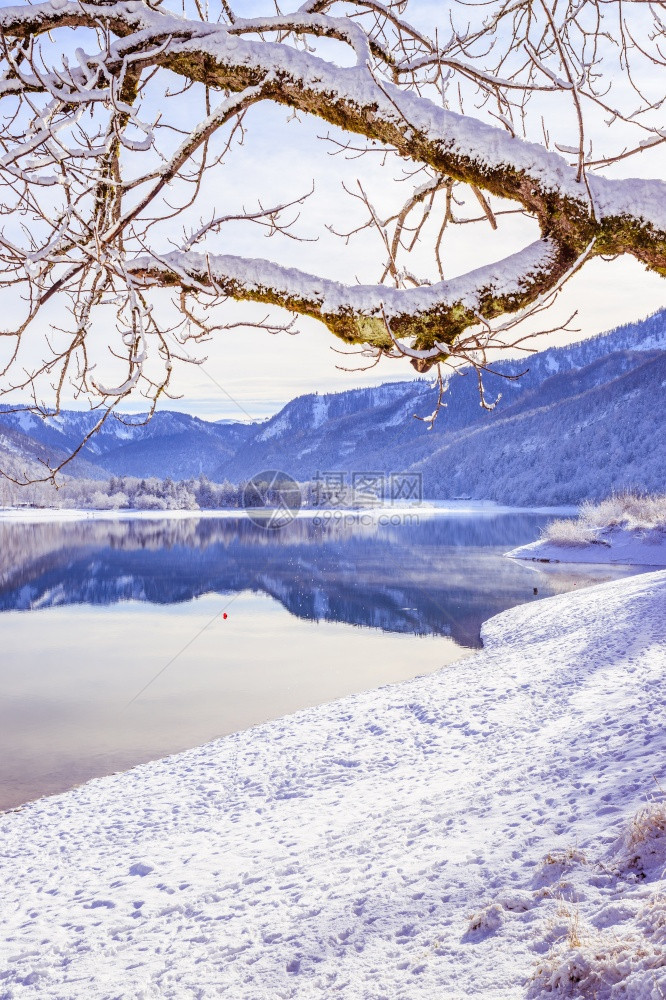 古时冬季风景反射湖雪树和山丘图片