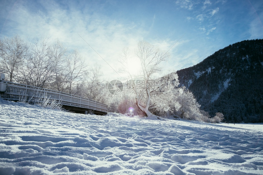 古时冬季风景木桥和雪树背景的山脉图片