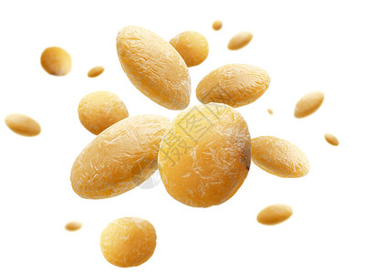 黄色扁豆悬浮空中图片
