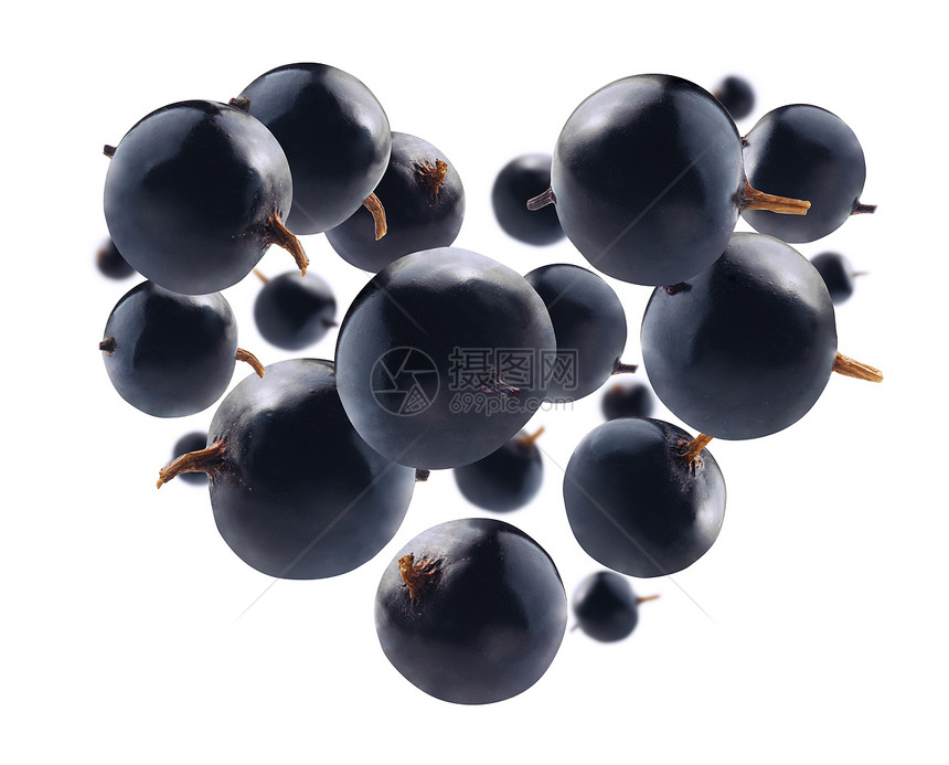白色背景上的黑莓白色背景上的黑莓白色背景上的心脏形状黑莓图片