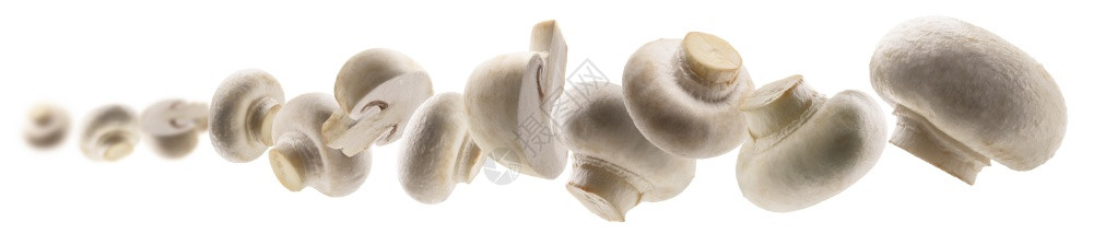 白色蘑菇在背景上悬浮白色背景在上悬浮图片