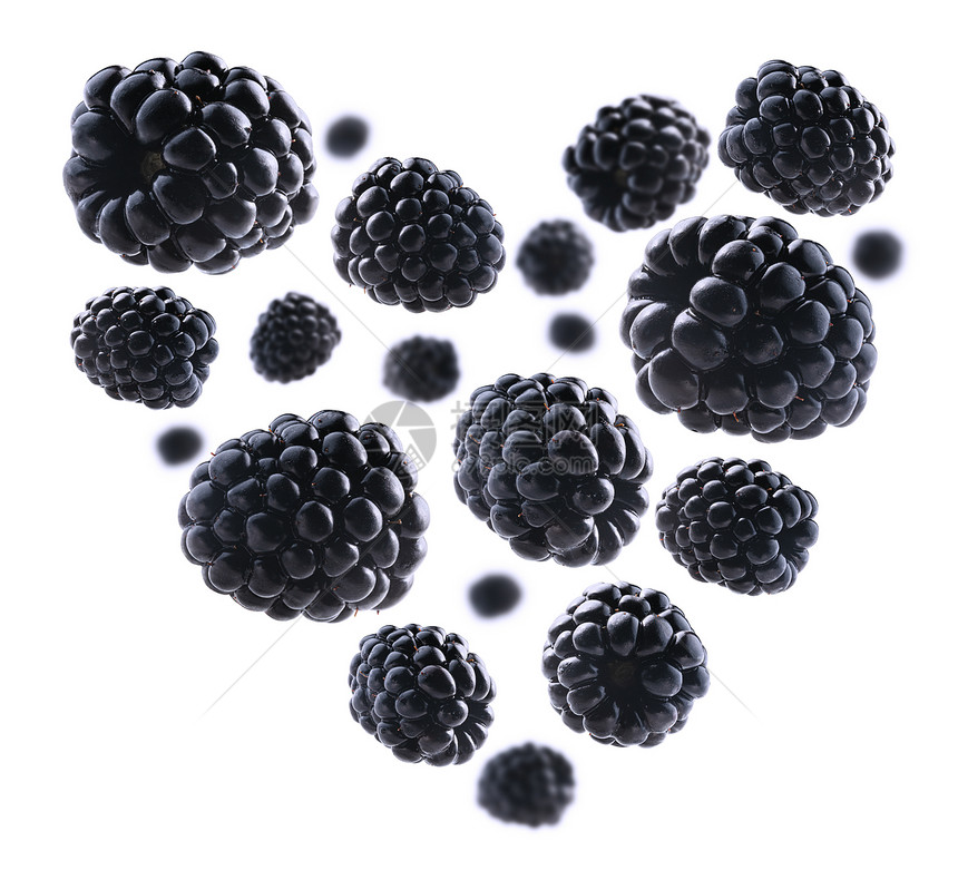 白色背景的黑莓白色背景的心脏形状黑莓图片