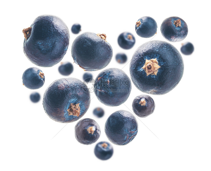 Juniper果子以心脏的形状白色背景果子以心脏的形状白色背景图片