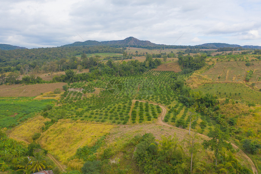 以绿色山丘为农业概念的新鲜草地大米和作物田的空中最高视野泰国的自然景观背图片