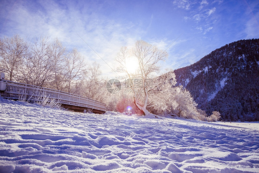 古时冬季风景木桥和雪树背景的山脉图片