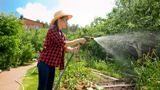 花园软管在炎热的夏日女孩从花园水管中浇妇女种植物在后院工作年轻女孩在炎热的夏日从花园水管中浇背景