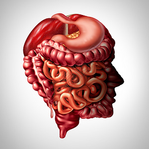 溃疡性结肠解剖学高清图片